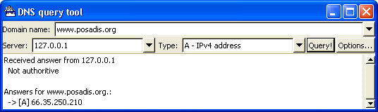 DNS query tool